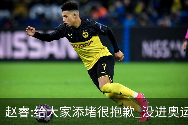 赵睿:给大家添堵很抱歉 没进奥运我觉得很丢脸